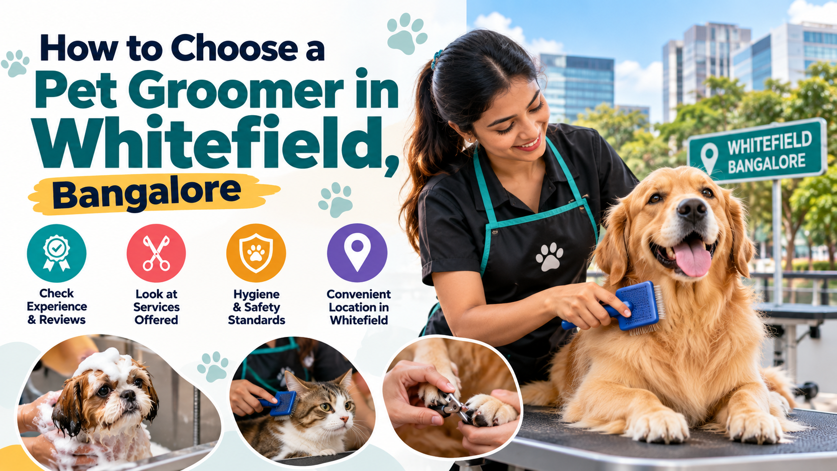 How to Choose a Pet Groomer in Whitefield, Bangalore